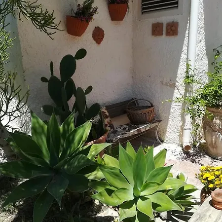 Jacomarta * Terrauzza
